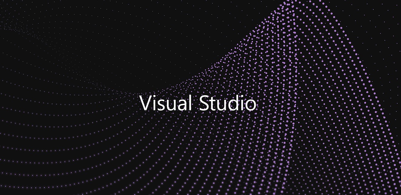Why Cannot We See Source Files in Visual Studio